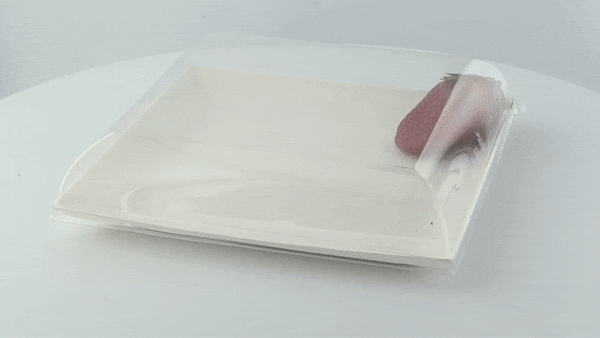 100pcs - Couvercle PET transparent "BioNChic" - 18,1 cm x 18,1 cm x 3 cm - Compatible avec 210BCHIC180F