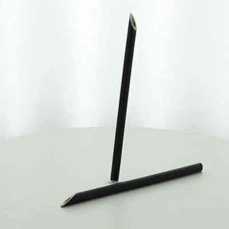 25pcs - 18cm - Paille bambou noire