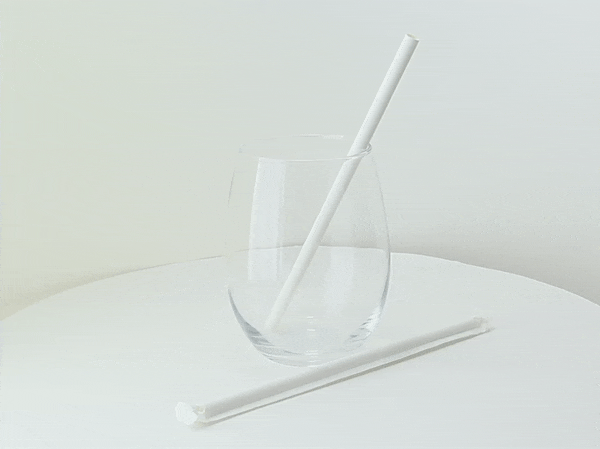 500pcs - Chalumeau papier smoothie blanc emballé individuellement - Ø 0,8 cm - H 19,7 cm