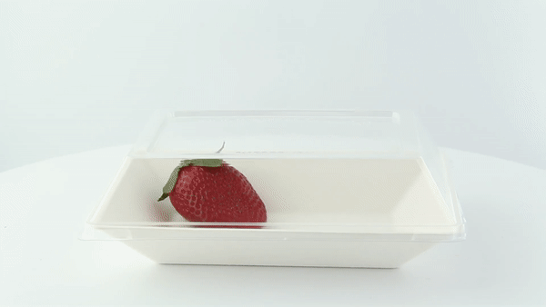 50pcs - Couvercle PET transparent - 18 cm x 13,3 cm x 3 cm - Compatible avec 210ECOD1712, 210ECOD1712F