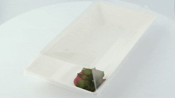 50pcs - 26,2x13,2x3,3cm - Couvercle PET transparent - Compatible avec 210ECOD2614, 210ECOD2614F